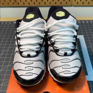 AIR MAX PLUS
WHITE/ROYAL BLUE-MEDIUM GREY
310721-141